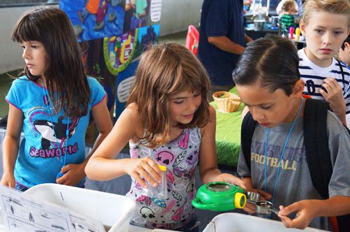 Our featured program Rodney Goes Green is an award winning school-based youth environmental science education program. Each component of this program is designed to coincide with today’s current Next Gen and WA State Science Standards.